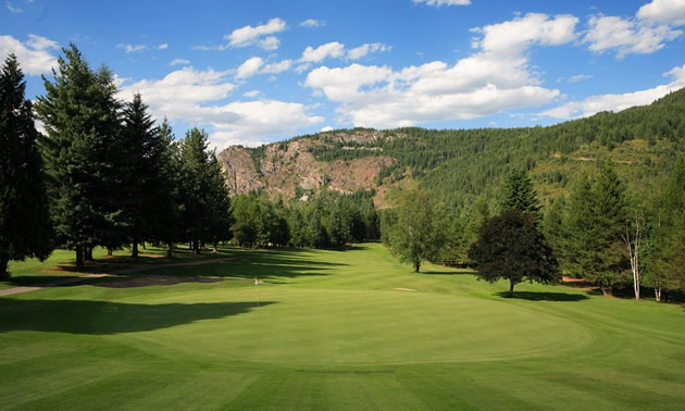 View of open golf course, trees in background. 