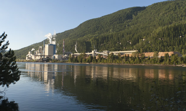 The Zellstoff Celgar pulp mill as seen from across the river. 