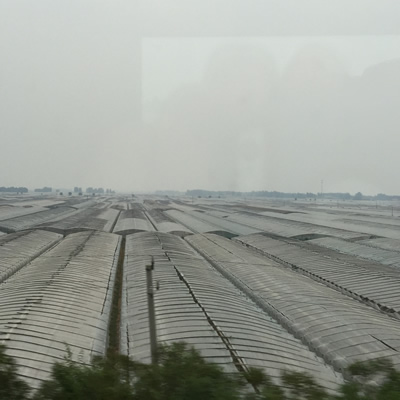 Greenhouses in China, as seen from the bullet train