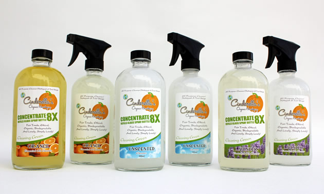 sustainable cleaning products