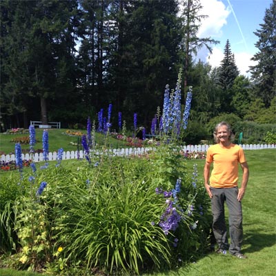 As manager of Cominco Gardens, Dan Matheson spends a lot of time in the gardens. Here, he is standing next to tall purple delphiniums.