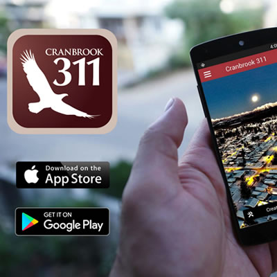 A graphic of the City of Cranbrook's new 311 app. 