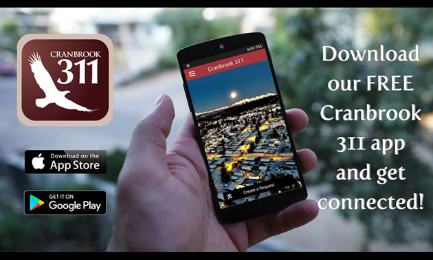 A graphic of the City of Cranbrook's new 311 app. 