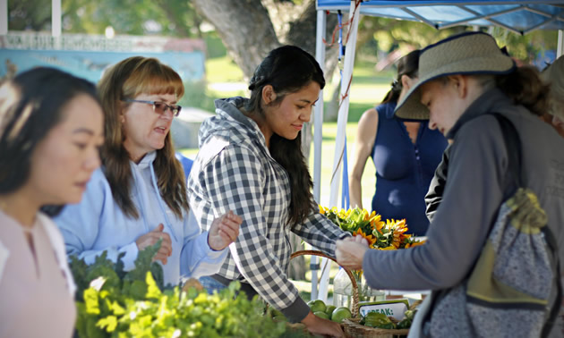 Three women looking at fresh produce at a market stall. 