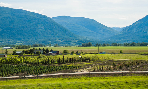 A farm and its produce makes a beautiful green panorama against blue mountains and a cloudless sky.