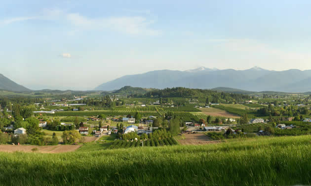 Scenic view of the Creston Valley. 