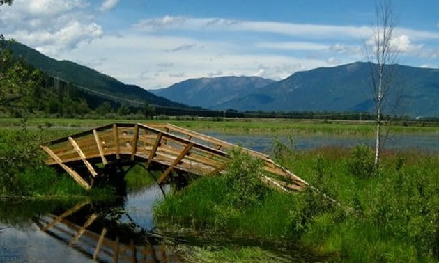Programming at the Creston Valley Wildlife Management Area includes environmental education on wetland ecosystems and wildlife.