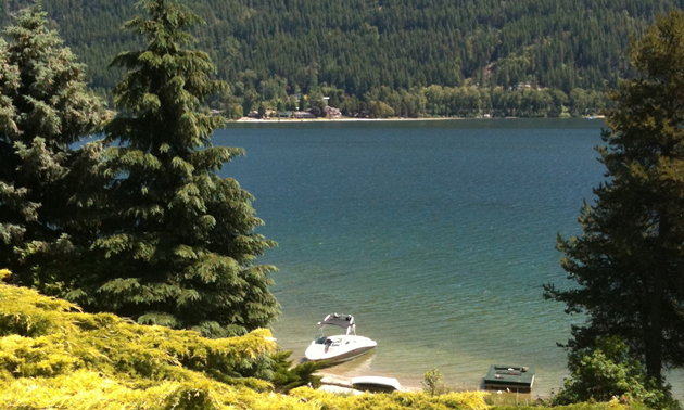 Summer scene with shrubbery and evergreens in the foreground framing a lake and beach