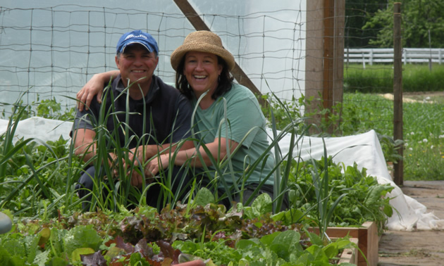 A couple kneel behind a raised bed full of lettuce and other greens. They're in a greenhouse and both wear sunhats. 