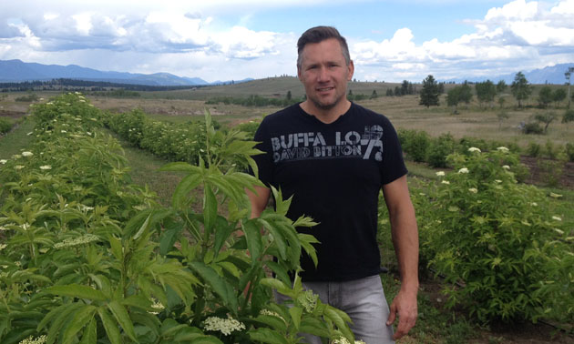 Attila Lepsis standing in elderberry field. 