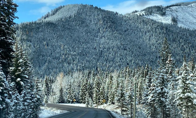 Snowy mountain and curving road in foreground. 