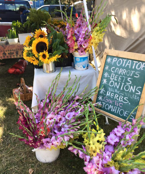 Fresh flowers on display at market.