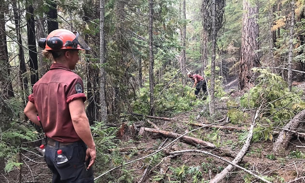 BC Wildfire personnel working at clearing dead brush in forest. 