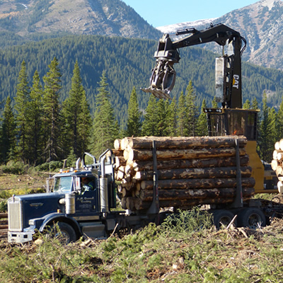 A logging truck is being loaded at a cut block.