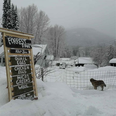 Sign for Forrest Farms farm stand in winter. 