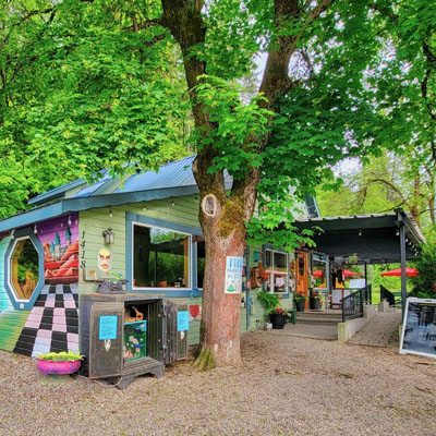 Outside view of Frog Peak Cafe, showing large leafy tree and cafe covered in colourful murals. 
