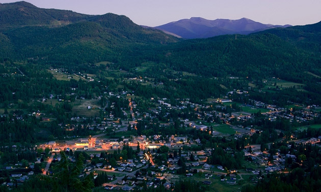 Aerial view of the Village of Fruitvale. 