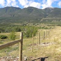 photo of fence line