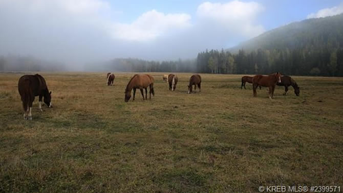 Gold Creek Ranch, Wardner, B.C. 