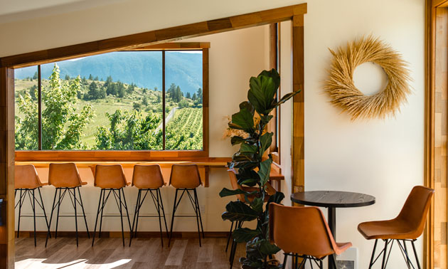 Row of chairs, with window overlooking local orchard. 