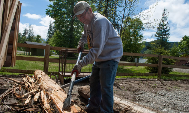 Tom works hard peeling a log.