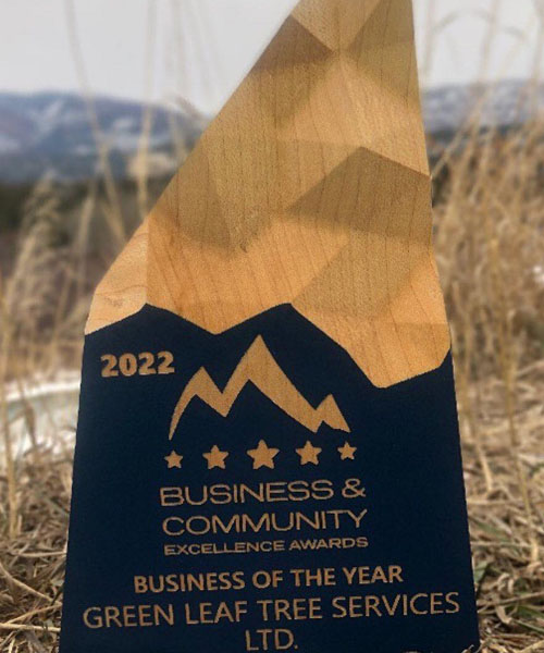 Close-up of Business & Community Excellence award. 