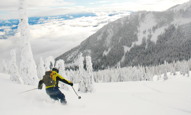 A skier in a yellow jacket carves down a powdery slope with snow-covered trees.