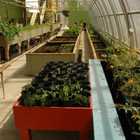 Photo of the inside of Invermere's Groundswell Community Greenhouse 