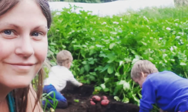 Two young boys are digging up potatoes with their hands and their mom is in front smiling.