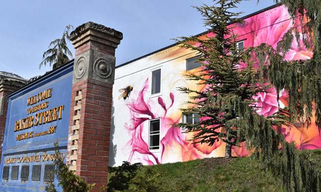 City of Nelson sign on Baker Street with mural painted on building in background. 