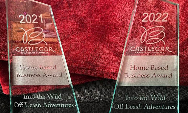 Two Business Excellence awards for Into the Wild Off Leash Adventures sitting side-by-side, one for 2021 and the other for 2022. 