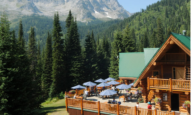 A large log lodge with a green roof has a wide patio overlooking trees and mountains.