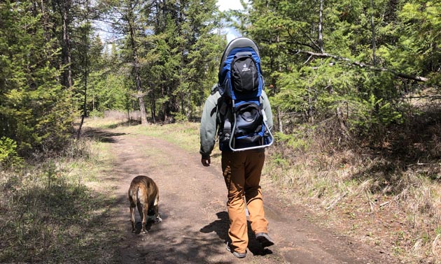 Man wearing baby backpack hiking along forest road with dog. 
