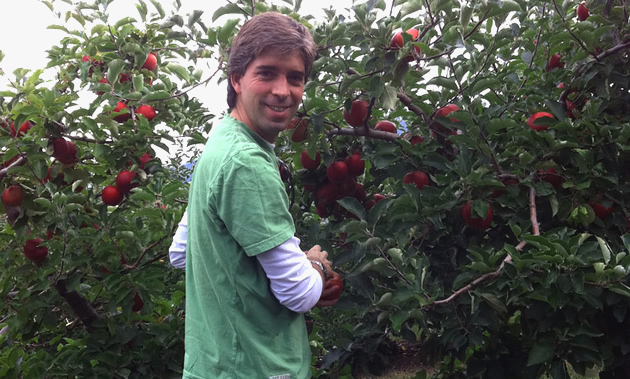 Danny Turner picks apples from his farm, Just-a-Mere Organic Farm in Creston, B.C.