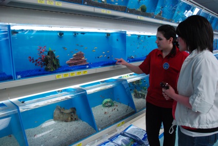two people staring at a fish tank