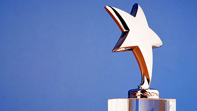 The Kootenay Rockies Tourism award - a copper-coloured star on top of a trophy. 