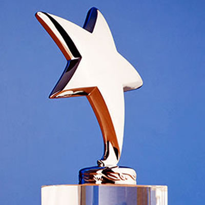 The Kootenay Rockies Tourism award - a copper-coloured star on top of a trophy. 