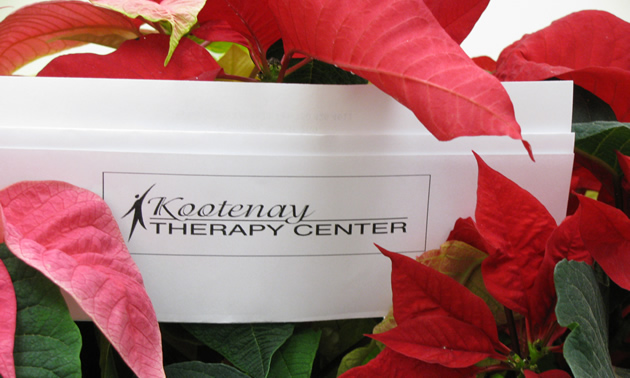 Kootenay Therapy Centre logo