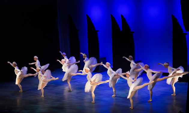 Ballet Jorgen presented Swan Lake last February; the ballet company returns February 21, 2018, to perform Anastasia.
