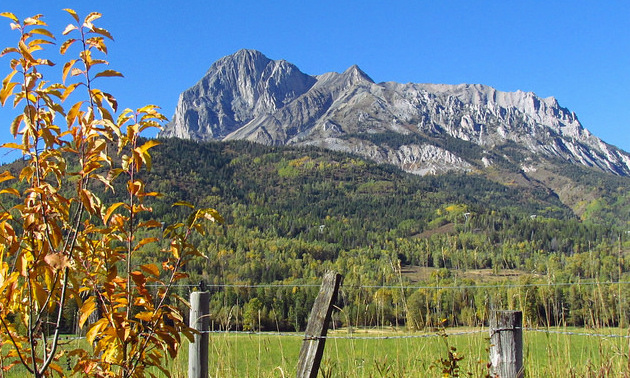 There are autumn colours on a small tree in the foreground, an old wooden fence and mountains set against a blue sky in the background. 