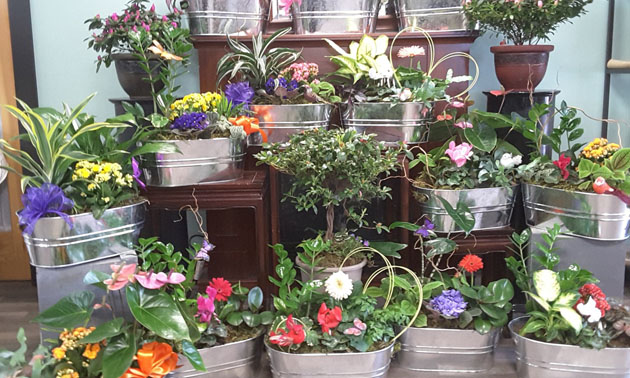 Display of floral centerpieces. 