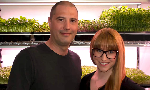 Erin Robertson and Dennis Lavoie are the owners of Kootenay Microgreens, an urban farm in Cranbrook that specializes in growing and selling microgreens.