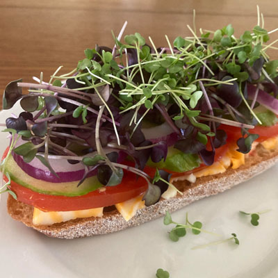 Sandwich topped with microgreens. 