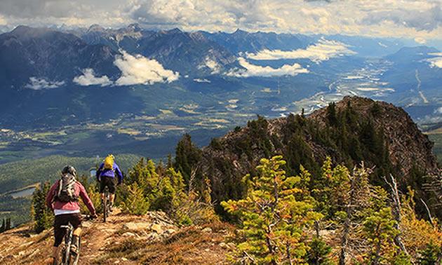 Scenic view of mountain bikers. 