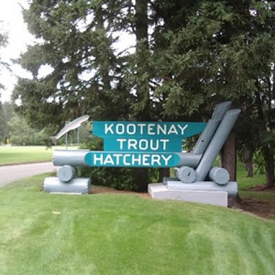 Kootenay Trout Hatchery sign. 