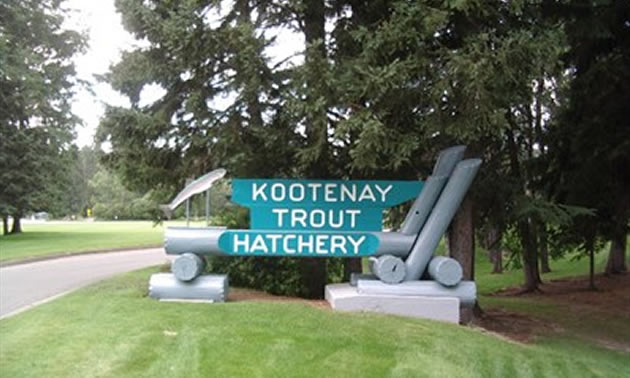 A blue sign that says Kootenay Trout Hatchery.