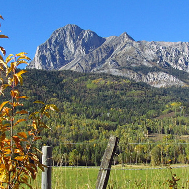 There are autumn colours on a small tree in the foreground, an old wooden fence and mountains set against a blue sky in the background. 