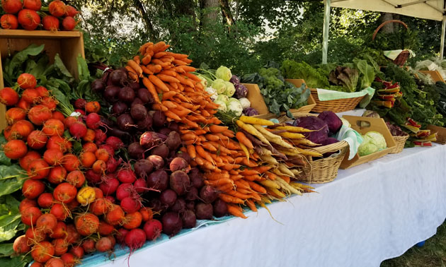 Colourful display of fresh vegetables, carrots, cabbage, radish, turnips. 