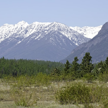 Snowcapped mountains in the background, treed slopes and flat brushland in the foreground