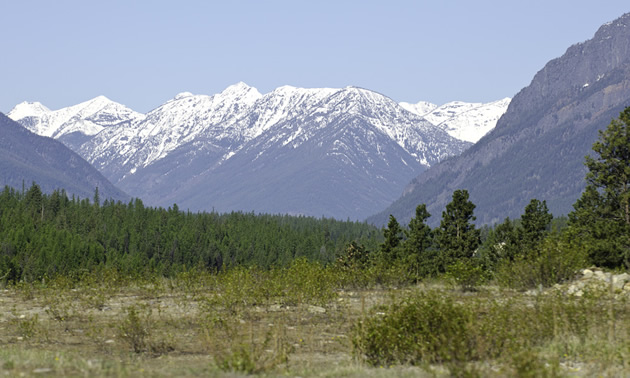 Snowcapped mountains in the background, treed slopes and flat brushland in the foreground